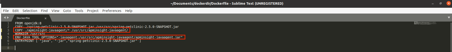 docker-startup-command Adding argument to the startup command